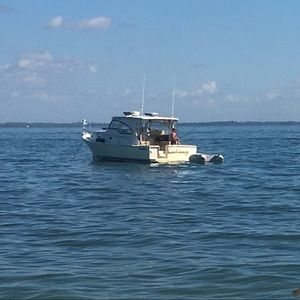 Meet your Posher, Anne